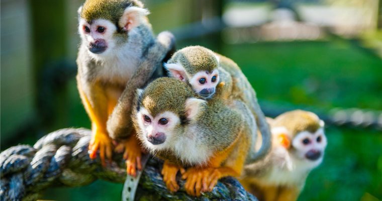 A Brief, Highly Biased Unpacking of the US’ White House Cybersecurity Strategy